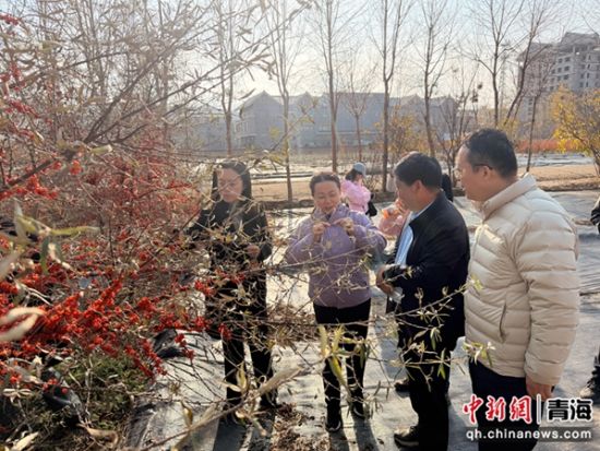 图为调研现场。李江宁 摄 图为调研现场。李江宁 摄