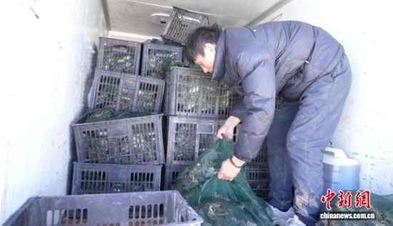 ͼΪԱ̵ġɳĮзװί ͼ