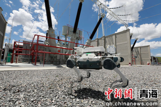 资料图为国能青海海北公司智能巡检机器狗正在开展巡检作业。 谢国华摄 资料图为国能青海海北公司智能巡检机器狗正在开展巡检作业。 谢国华摄