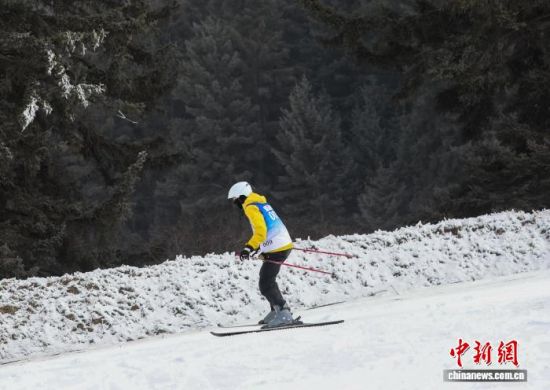 ͼΪ�ຣʡ���Ľ��ѩ�˶����ֳ���ѡ�����ڱ�������������������