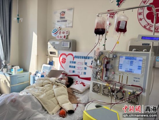 图为沙莎进行造血干细胞采集。孙睿 摄 图为沙莎进行造血干细胞采集。孙睿 摄