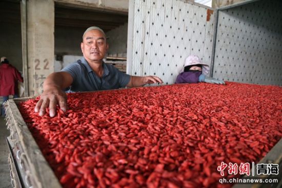 ����ͼΪ�����ֲ�����ں����轡� ����ƻ ��