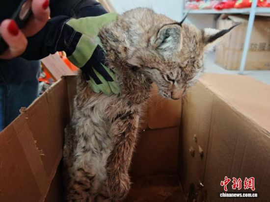 ͼΪ������Ա�����˵��������ֽ�䡣������ί������ ��ͼ