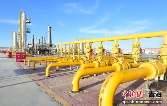 ͼΪ�ຣ����ɬ�����������ֳ����ຣ���﹩ͼ