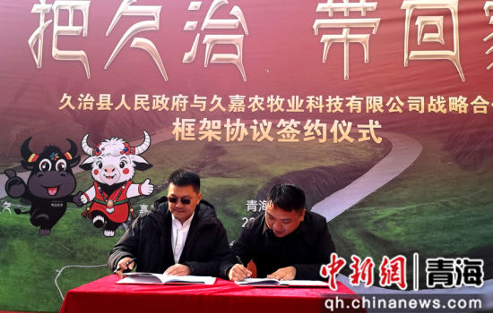 ͼΪǩԼ��ʽ�ֳ����ź�����