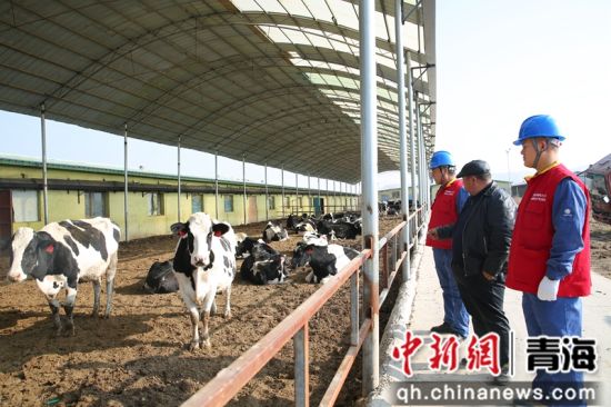 12��28�գ������ƻ����繫˾������Ա�߽��ຣʡ������ѭ���������������ϴ������ţ����ֳרҵ�������������˽���ţ��ֳ���������� ��