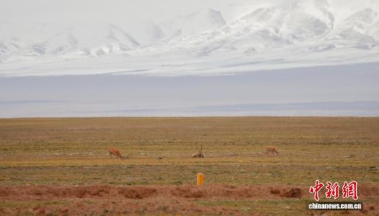 ����ͼΪ������Ȼ�Ų��ؿɿ�����Ĳ����������� ��