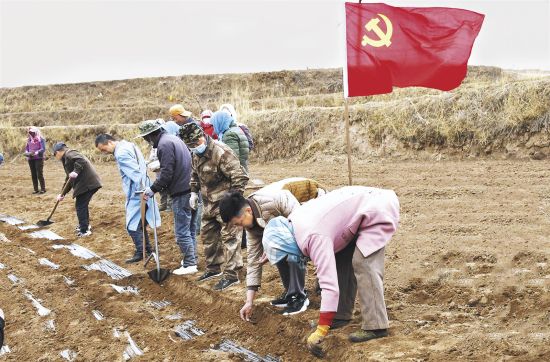 中岭乡甘沟脑村群众在党支部的带领下,抢抓农时铺设覆膜。 中岭乡甘沟脑村群众在党支部的带领下,抢抓农时铺设覆膜。