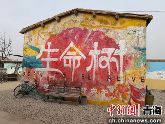 图为拍摄取景点。董玲 摄 图为拍摄取景点。董玲 摄