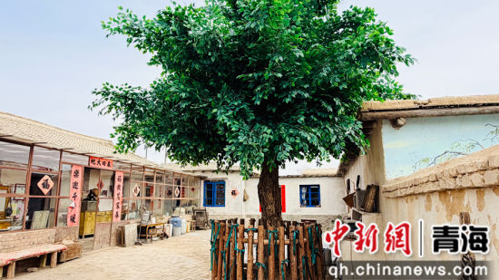 图为拍摄取景点。董玲 摄 图为拍摄取景点。董玲 摄