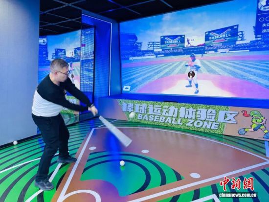 ͼΪ�����������ְ������ ��