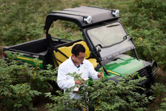 ����ֲ���з����Ŀ�ѧ��רעֲ��Ӫ���ص�̽����