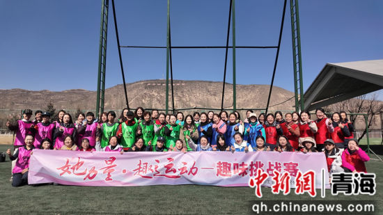 ͼΪ��ֳ����Ƕ����ܹ��� ��ͼ