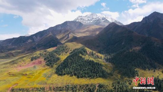 ͼΪλ���ຣʡ�������������ݾ��ڵİ�����Ͽ�ȡ���� ��