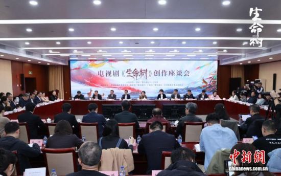 座谈会现场。主办方供图 座谈会现场。主办方供图