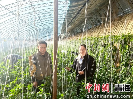 客户经理对辣椒种植户开展贷前调查。樊昊 摄 客户经理对辣椒种植户开展贷前调查。樊昊 摄