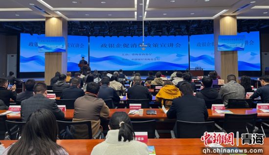图为宣讲会现场。潘雨洁 摄 图为宣讲会现场。潘雨洁 摄