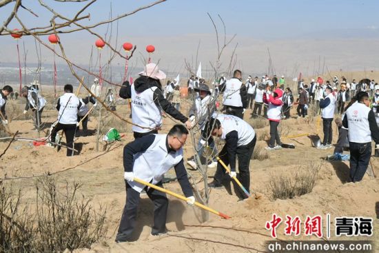 ͼΪ�й����������ຣʡ����ְ����������ֲ���� �����ຣʡ���й�ͼ