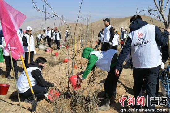 ͼΪ�й����������ຣʡ����ְ����������ֲ���� �����ຣʡ���й�ͼ