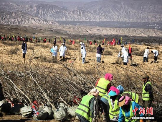 ͼΪ����ֲ����ֳ�����������