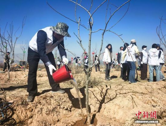 ͼΪ������Ϊ����ֲ�����罽ˮ����������