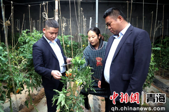 图为农行乐都支行工作人员与华月琴沟通交流。张忠苹 摄 图为农行乐都支行工作人员与华月琴沟通交流。张忠苹 摄