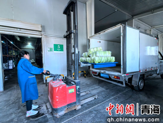 图为乐都兴农公司工人将分拣好的蔬菜装车发货。李隽 摄 图为乐都兴农公司工人将分拣好的蔬菜装车发货。李隽 摄