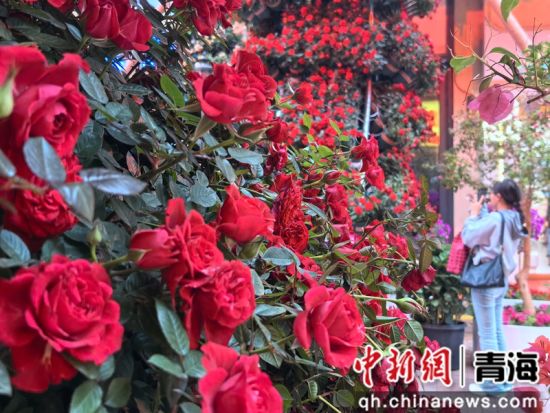 图为花街一角。李隽 摄 图为花街一角。李隽 摄