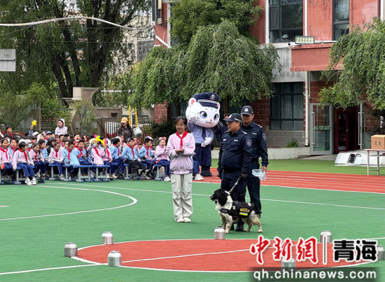 图为禁毒趣味小游戏。祁绣娟 摄 图为禁毒趣味小游戏。祁绣娟 摄
