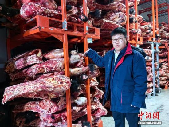 图为王瑞在冷链仓库介绍牛羊肉出省流程。李隽 摄 图为王瑞在冷链仓库介绍牛羊肉出省流程。李隽 摄