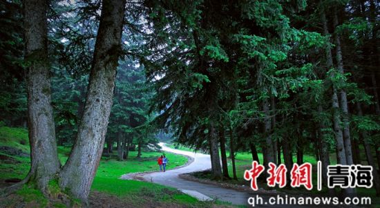 图为游客在丛林中漫步。大通县融媒体中心 供图 图为游客在丛林中漫步。大通县融媒体中心 供图