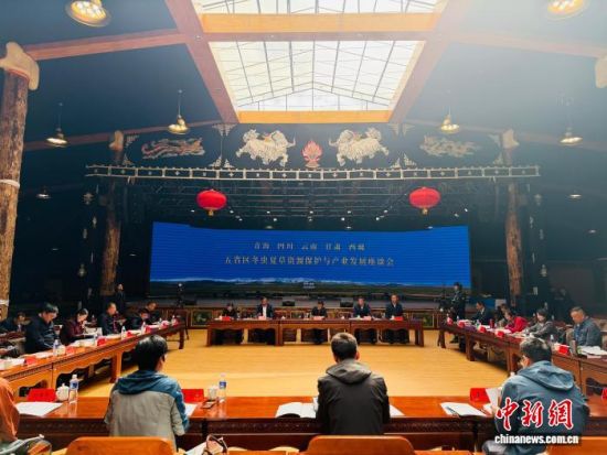 图为座谈会现场。孙睿 摄 图为座谈会现场。孙睿 摄