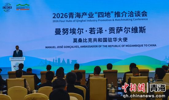 图为推介洽谈会现场。青海省商务厅供图 图为推介洽谈会现场。青海省商务厅供图