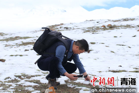 图为周拉太在采药中。曹有山供图 图为周拉太在采药中。曹有山供图