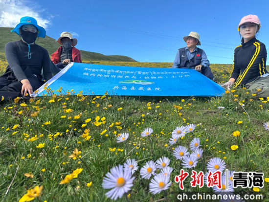 图为兴海县藏医院藏药种质资源普查(植物药)小分队。曹有山供图 图为兴海县藏医院藏药种质资源普查(植物药)小分队。曹有山供图