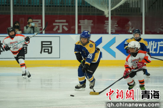 图为比赛现场。保嵘 摄 图为比赛现场。保嵘 摄