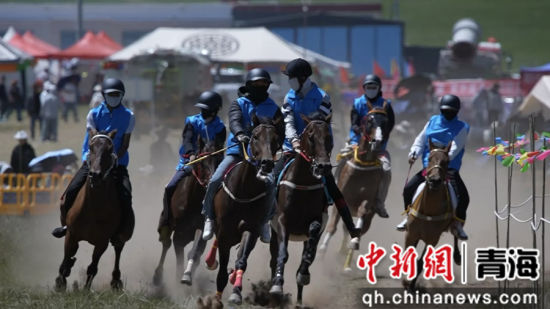 图为赛马会现场。共和融媒供图 图为赛马会现场。共和融媒供图