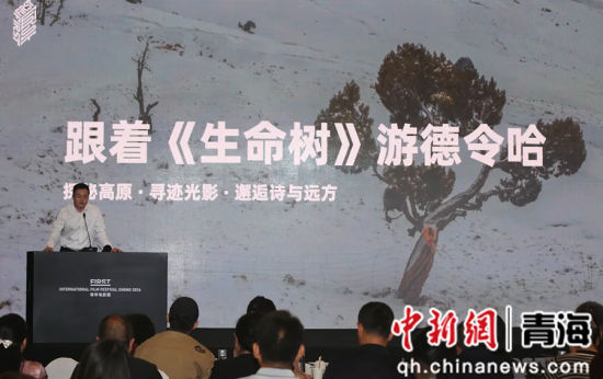 图为会议现场。青海省文旅厅供图 图为会议现场。青海省文旅厅供图