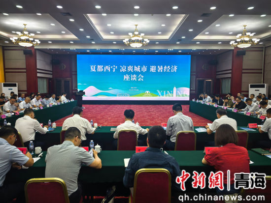图为“夏都西宁 凉爽城市 避暑经济”座谈会现场。 祁增蓓摄 图为“夏都西宁 凉爽城市 避暑经济”座谈会现场。 祁增蓓摄