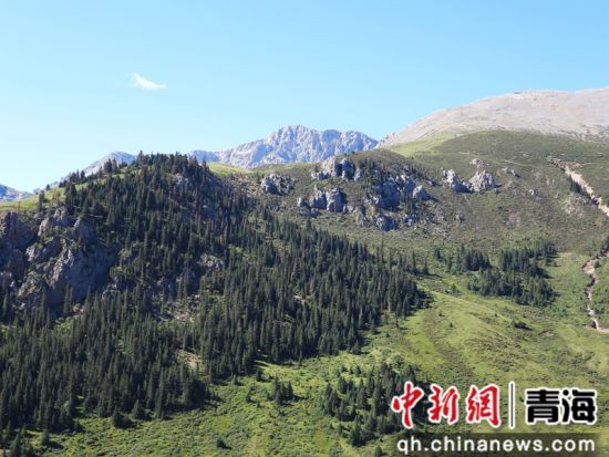 图为尕尔大峡谷风光。山水自然保护中心供图 图为尕尔大峡谷风光。山水自然保护中心供图