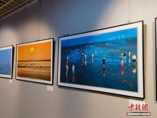 图为展出的盐城风光。张海雯摄 图为展出的盐城风光。张海雯摄