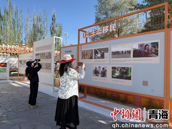 图为民众驻足观赏图片。孙睿 摄 图为民众驻足观赏图片。孙睿 摄