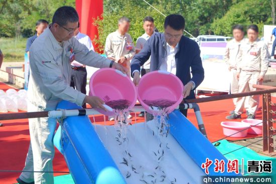 图为放流现场。马茜 供图 图为放流现场。马茜 供图