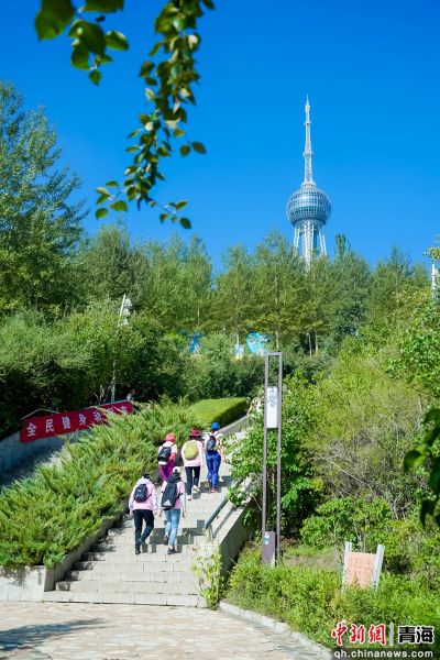 图为比赛开赛。西宁市体育局 供图 图为比赛开赛。西宁市体育局 供图