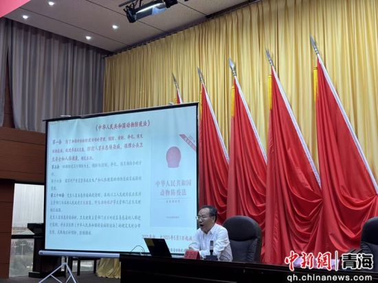 图为授课现场。虎发明 供图 图为授课现场。虎发明 供图