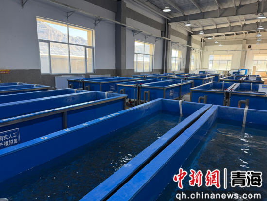 图为羊曲水电站鱼类增殖放流站一角。 孙睿 摄 图为羊曲水电站鱼类增殖放流站一角。 孙睿 摄