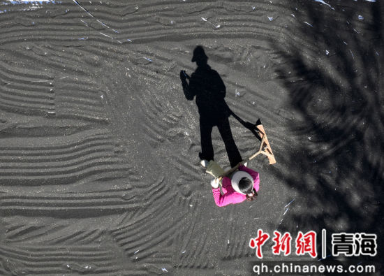 图为农民晾晒油菜籽。 张忠苹 摄 图为农民晾晒油菜籽。 张忠苹 摄