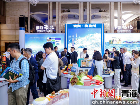 图为活动现场。青海省商务厅供图 图为活动现场。青海省商务厅供图