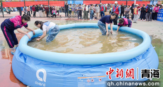 图为比赛现场。西宁市体育局 供图 图为比赛现场。西宁市体育局 供图