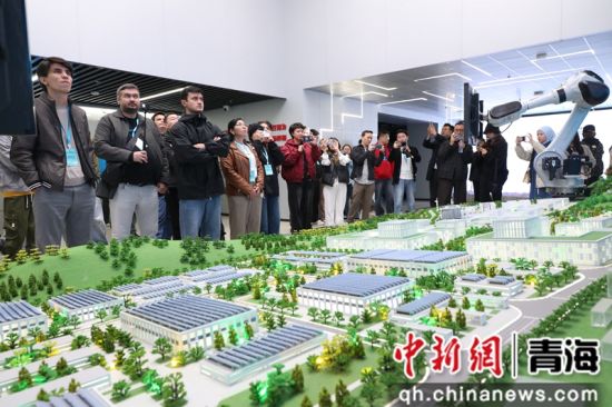 图为中亚青年参观中国联通三江源绿电智算融合示范园。马铭言 摄 图为中亚青年参观中国联通三江源绿电智算融合示范园。马铭言 摄